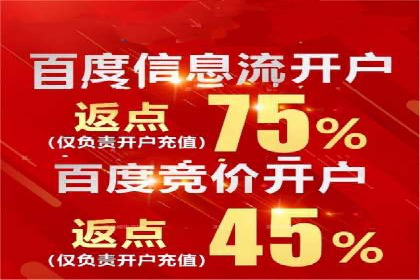 电商平台信息流广告的投放策略与效果评估案例